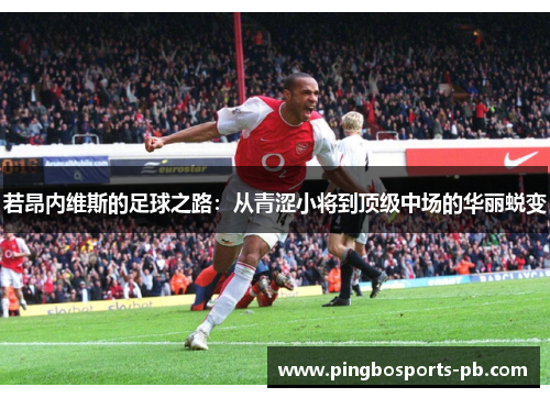 若昂内维斯的足球之路：从青涩小将到顶级中场的华丽蜕变
